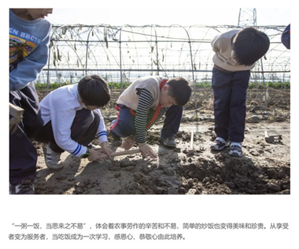 一碗炒飯，一日農民，一種感恩。(圖7)