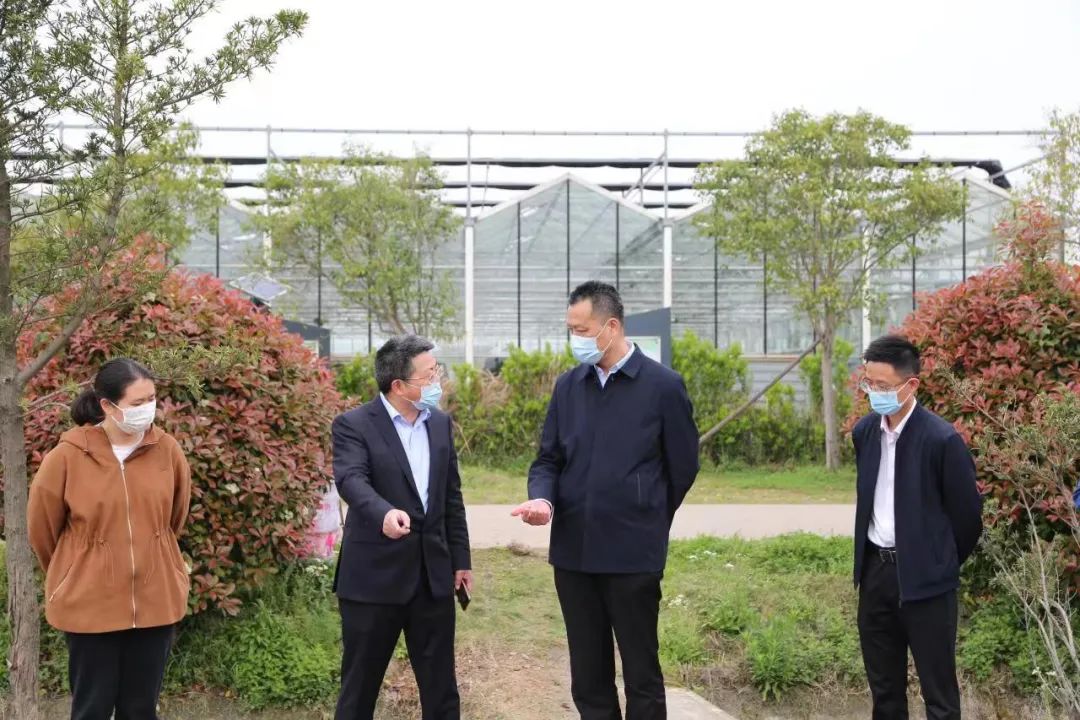 市農業農村局局長史立權赴龍山鎮調研指導疫情防控和生產保供工作(圖1) 1-22042210515R55.jpg