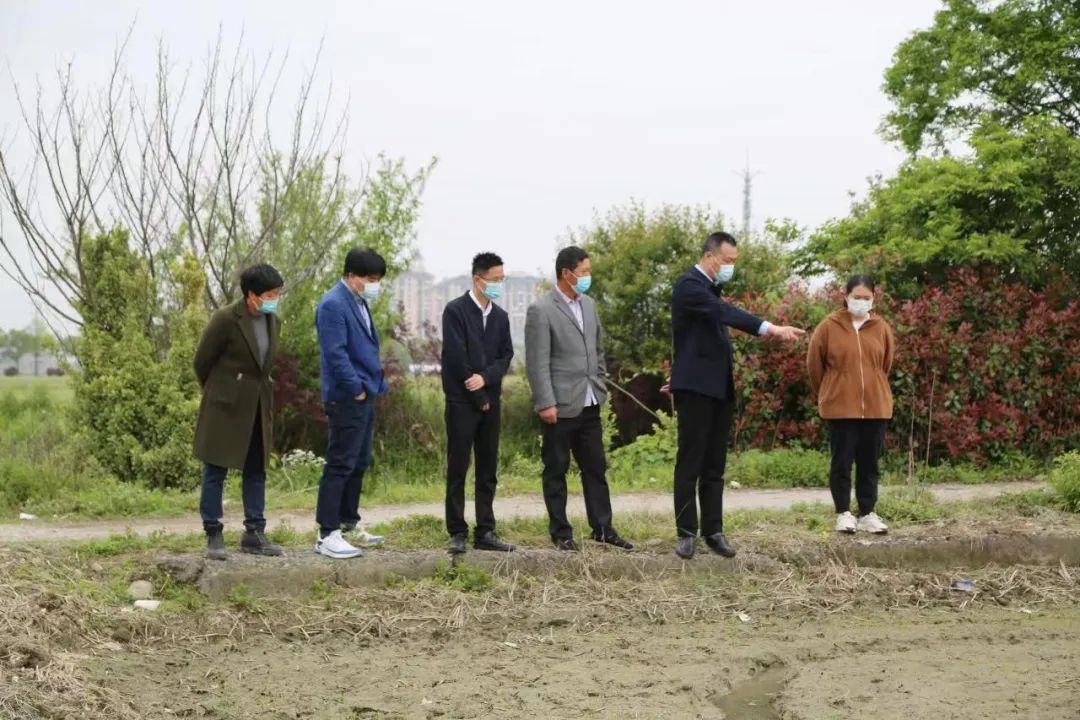 市農業農村局局長史立權赴龍山鎮調研指導疫情防控和生產保供工作(圖3) 1-220422105232Y2.jpg